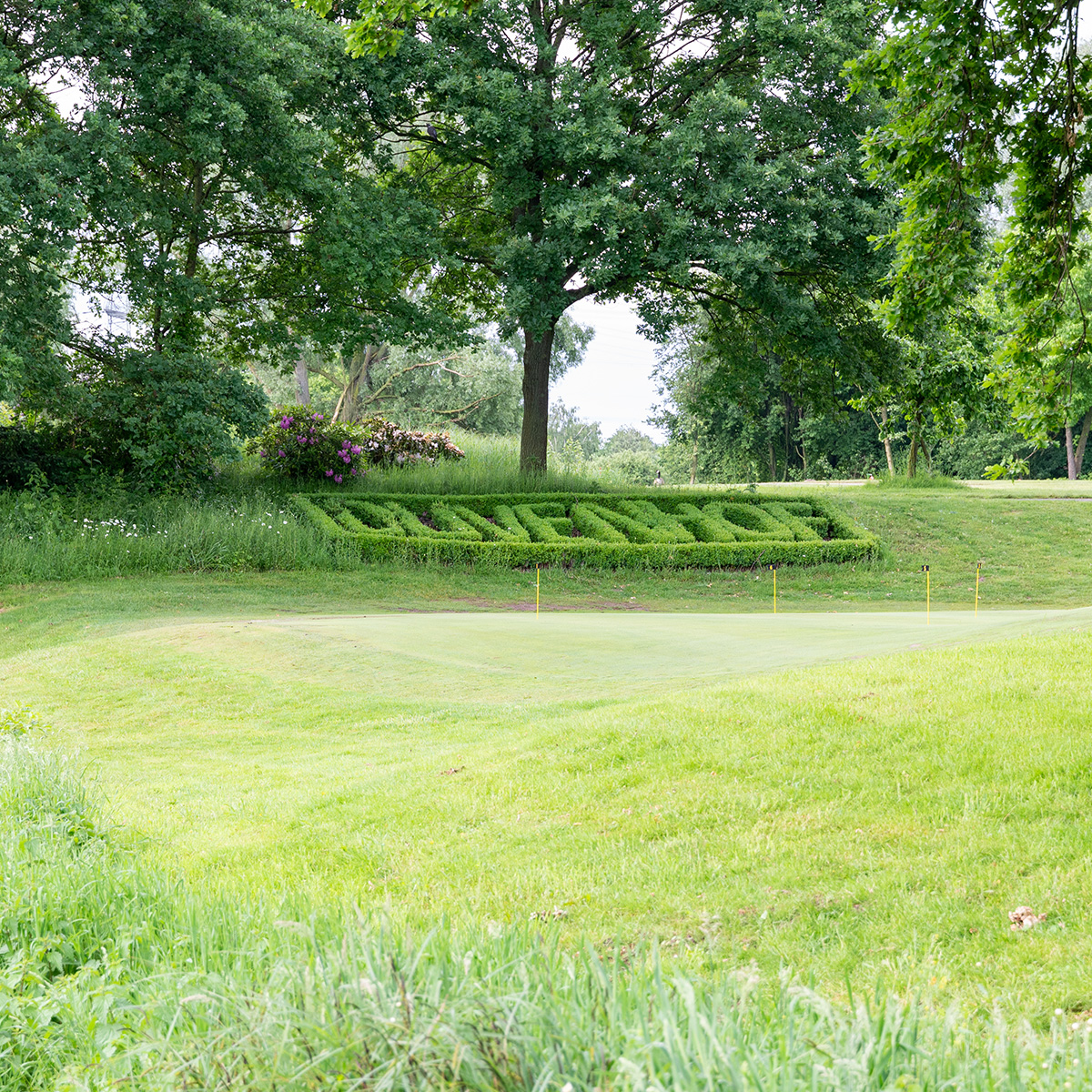 Ein Golfplatz mit grüner Umgebung und gepflegtem Rasen. Im Hintergrund sind Bäume und ein kunstvoller Buchsbaumschnitt zu sehen.