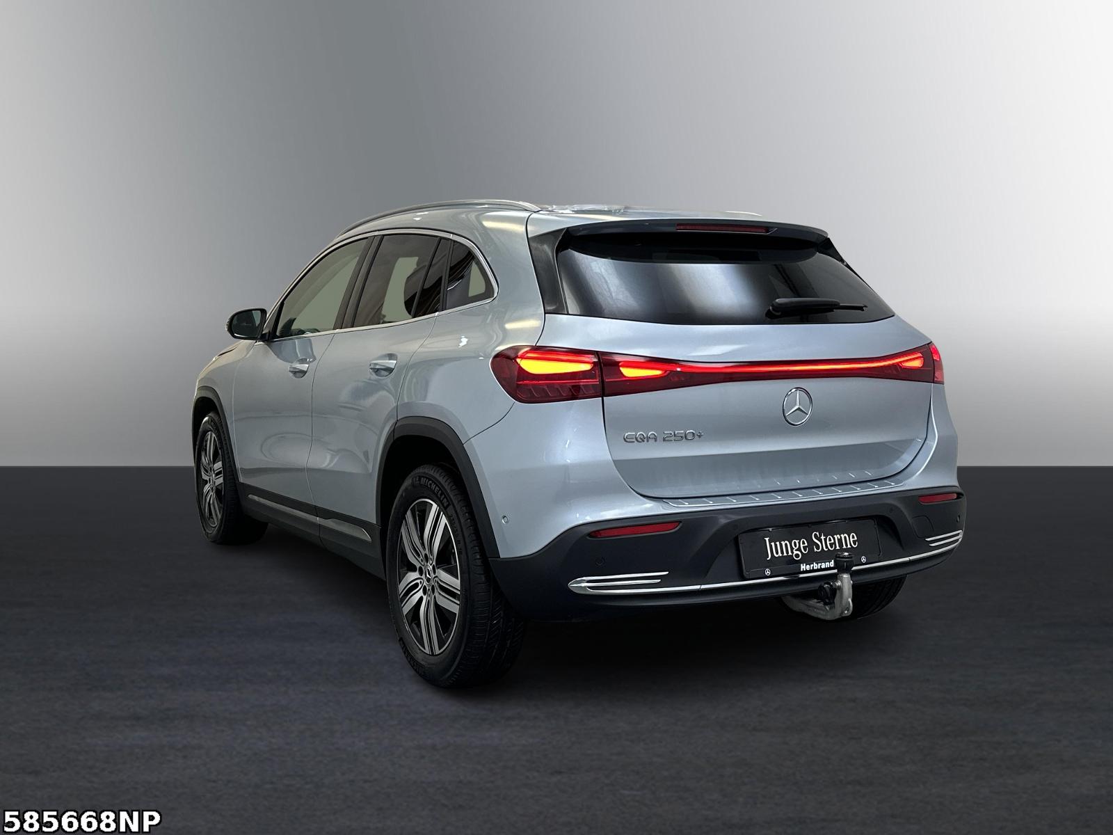Fahrzeugabbildung Mercedes-Benz EQA Progressive AHK LED Kamera PTS SHZ 18