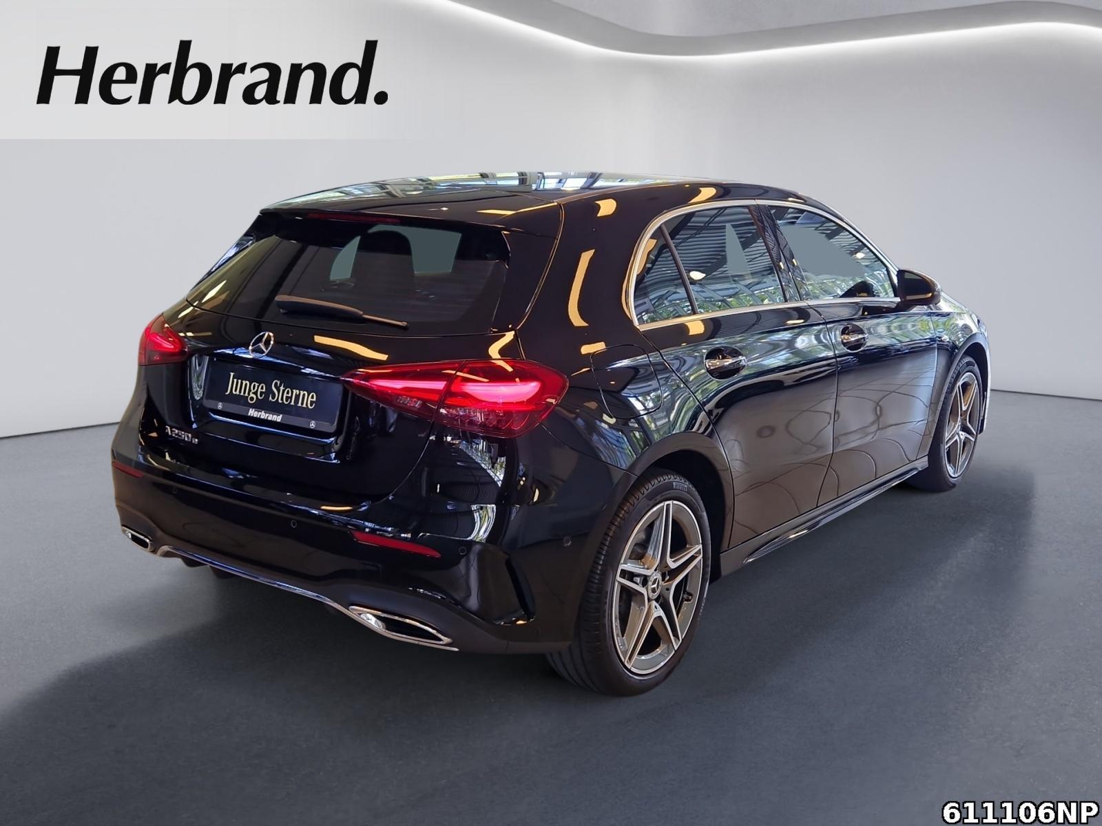 Fahrzeugabbildung Mercedes-Benz A 250 AMG 360° Distronic Totwinkel LED CarPlay