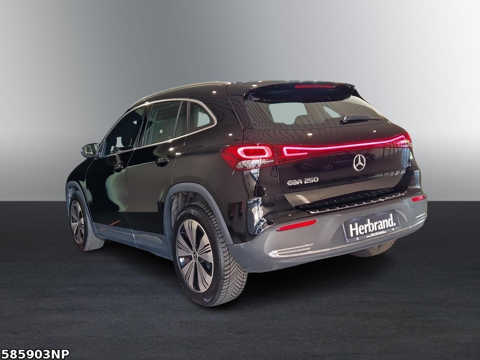 Fahrzeugabbildung Mercedes-Benz EQA Progressive Kamera LED Ambiente Navi 18