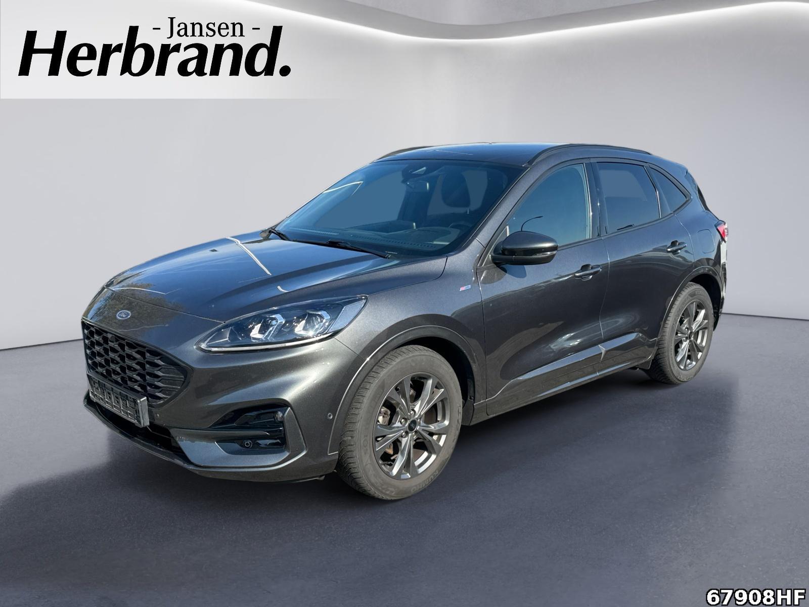 Fahrzeugabbildung Ford Kuga 2.0 EcoBlue Hybrid ST-Line X Start/Stopp (EUR