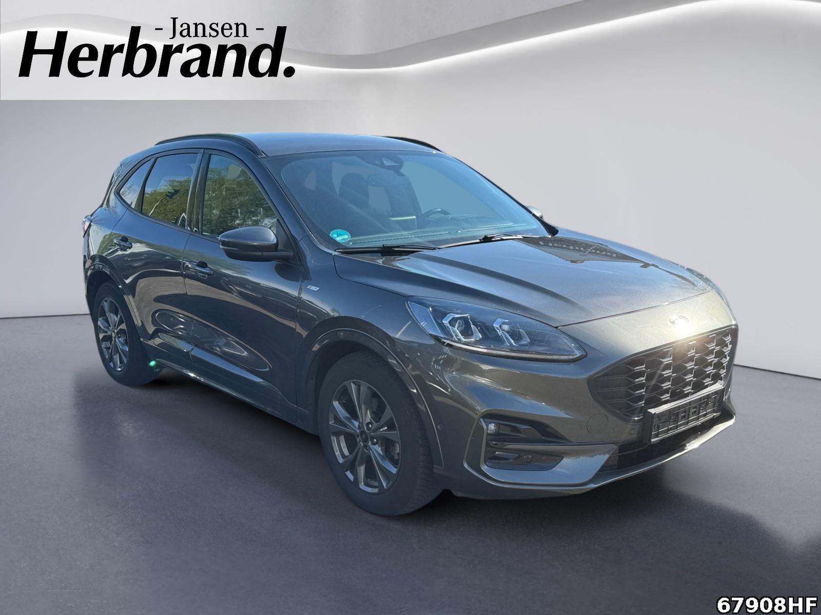 Fahrzeugabbildung Ford Kuga 2.0 EcoBlue Hybrid ST-Line X Start/Stopp (EUR