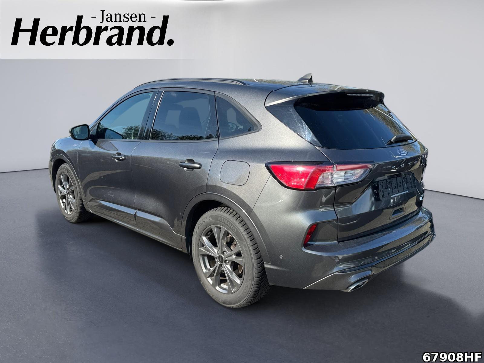 Fahrzeugabbildung Ford Kuga 2.0 EcoBlue Hybrid ST-Line X Start/Stopp (EUR