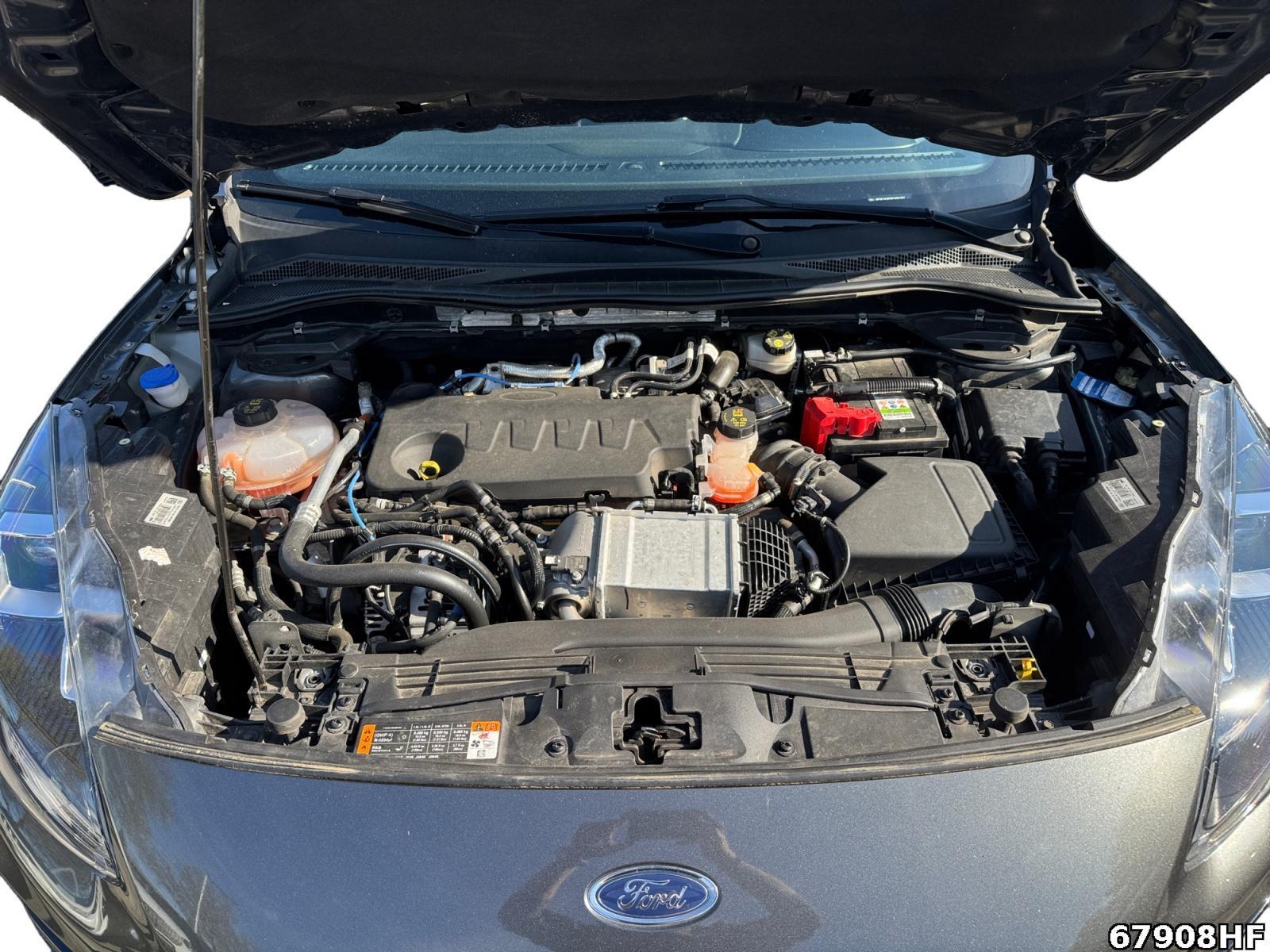 Fahrzeugabbildung Ford Kuga 2.0 EcoBlue Hybrid ST-Line X Start/Stopp (EUR