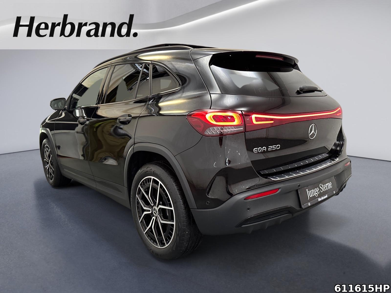 Fahrzeugabbildung Mercedes-Benz EQA AMG Pano Night 19