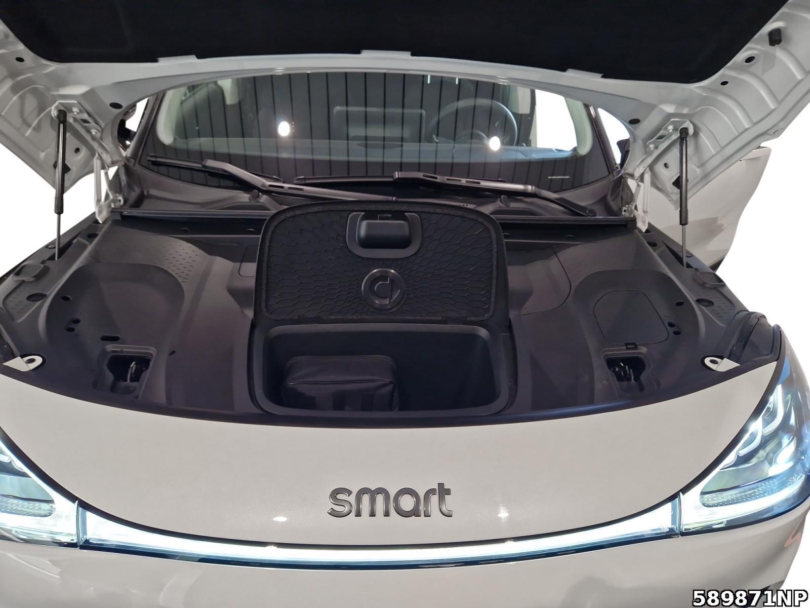 Fahrzeugabbildung Smart ONE pro+ Panorama LED 19