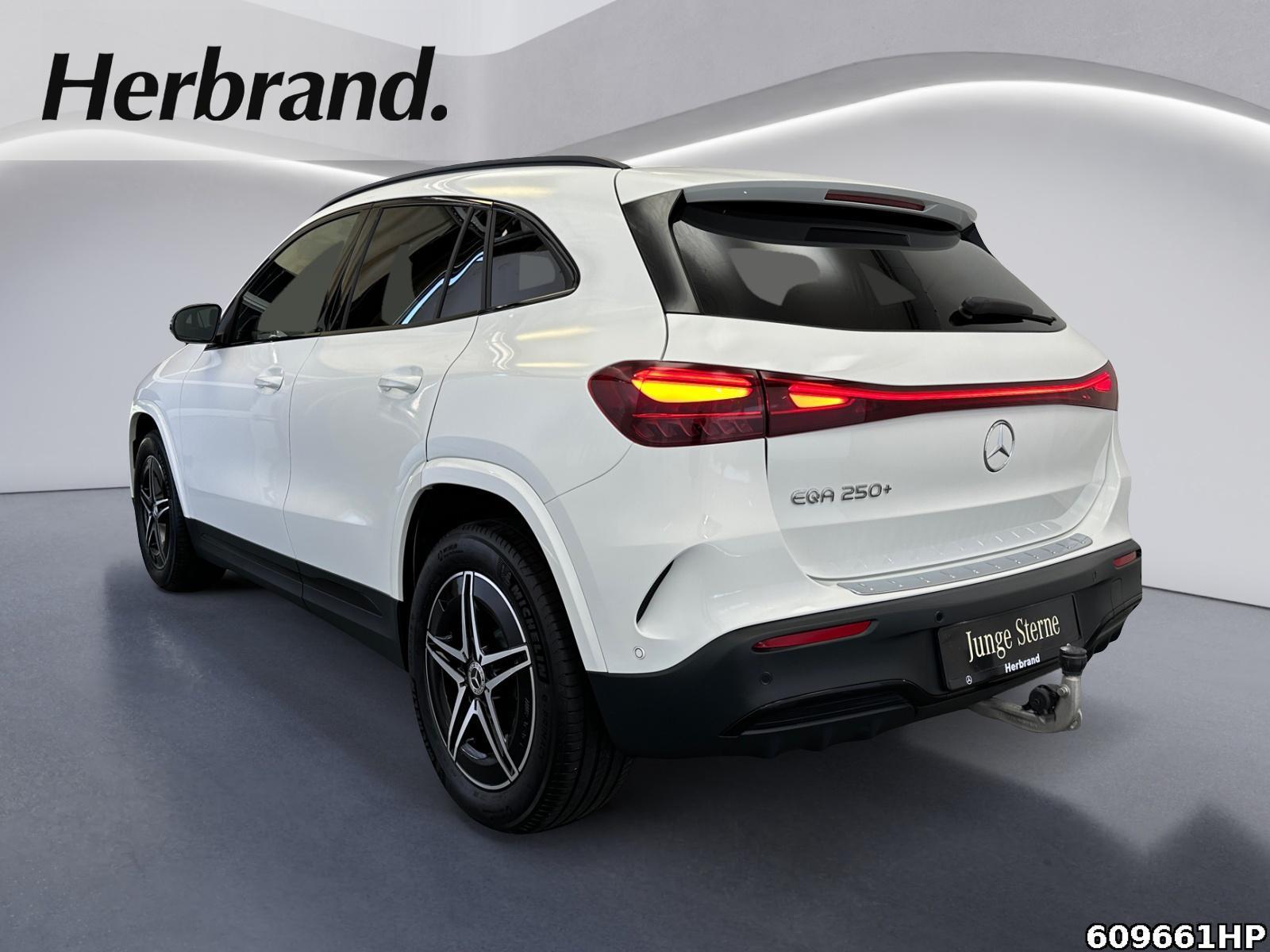 Fahrzeugabbildung Mercedes-Benz EQA AMG AHK Night Ambiente Kamera Totw.