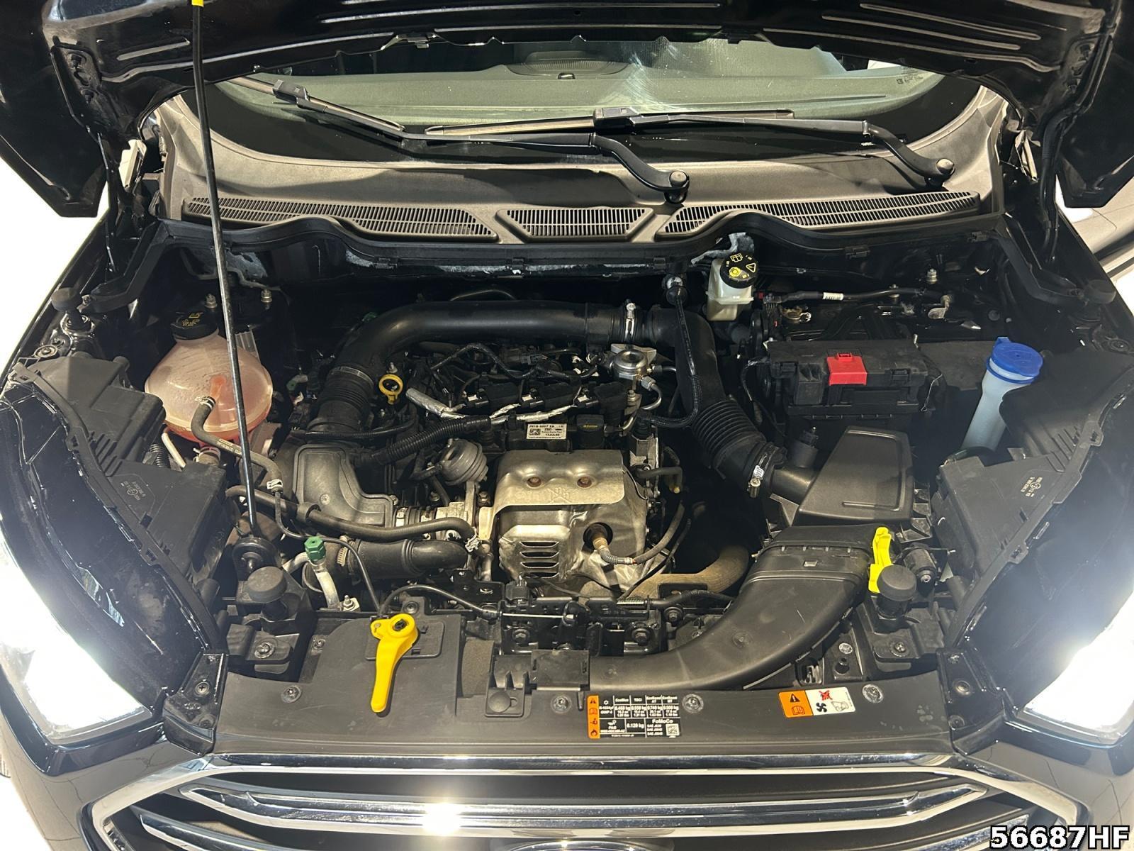 Fahrzeugabbildung Ford EcoSport Cool and Connect