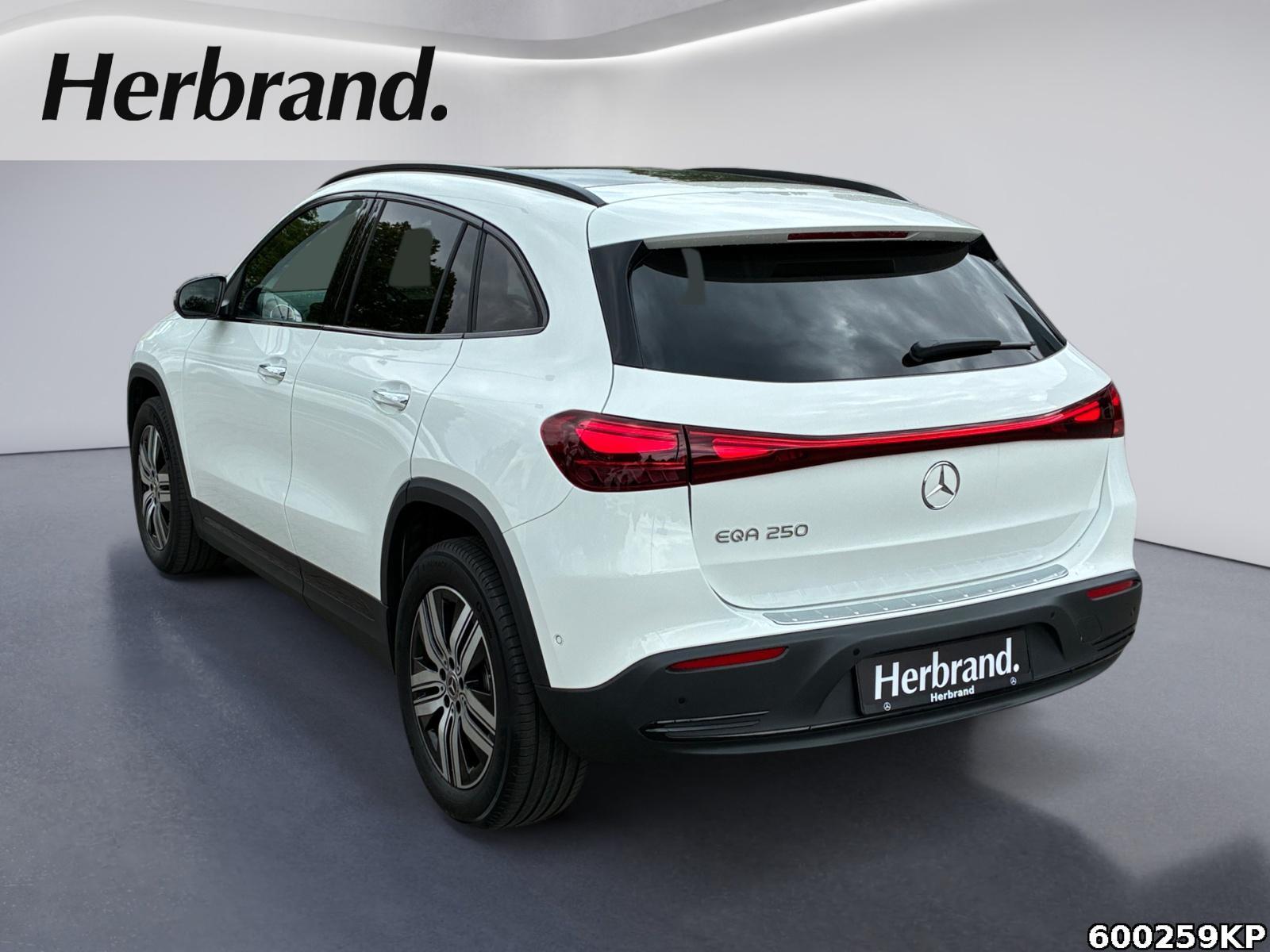 Fahrzeugabbildung Mercedes-Benz EQA Electric Art Pano Night Memo Lenkradhzg
