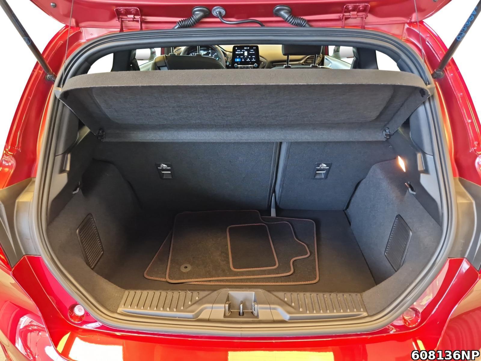 Fahrzeugabbildung Ford Fiesta ST Line AppLink Tempomat