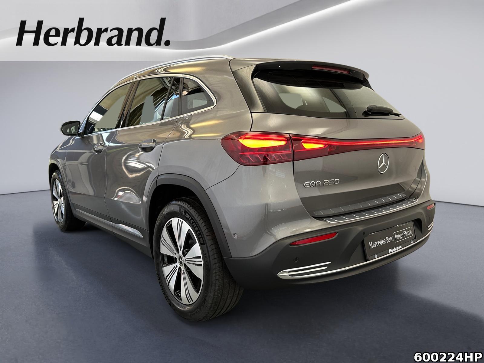 Fahrzeugabbildung Mercedes-Benz EQA Progressive Distronic Kamera Easypack
