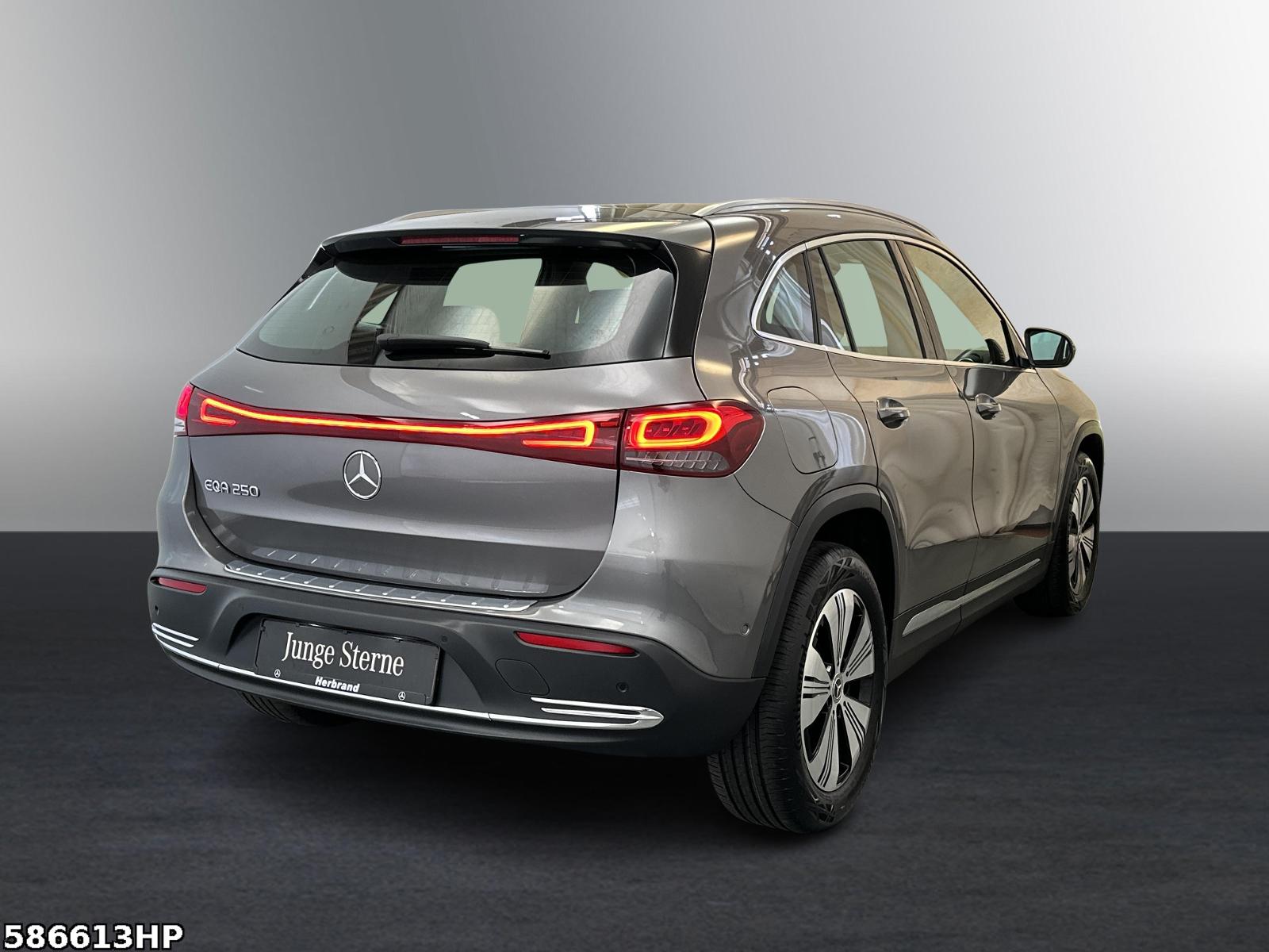 Fahrzeugabbildung Mercedes-Benz EQA Progressive Ambiente Kamera LED SHZ 18