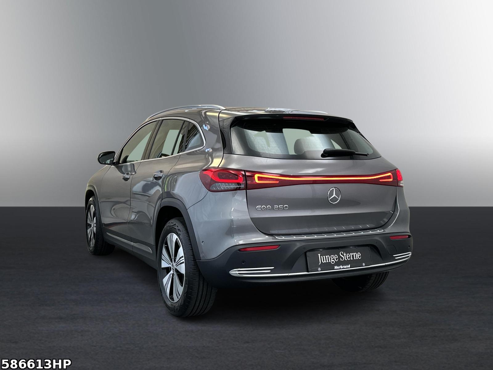 Fahrzeugabbildung Mercedes-Benz EQA Progressive Ambiente Kamera LED SHZ 18