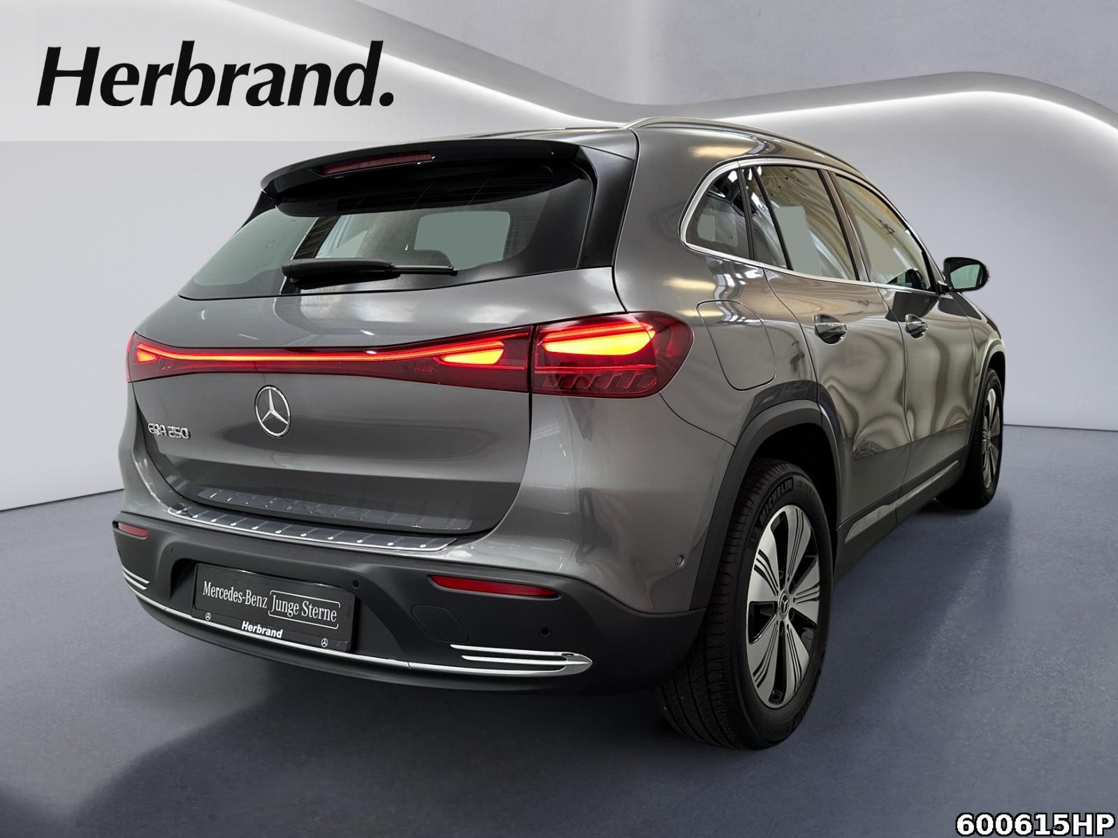 Fahrzeugabbildung Mercedes-Benz EQA Progressive Distronic Kamera SOH 100%