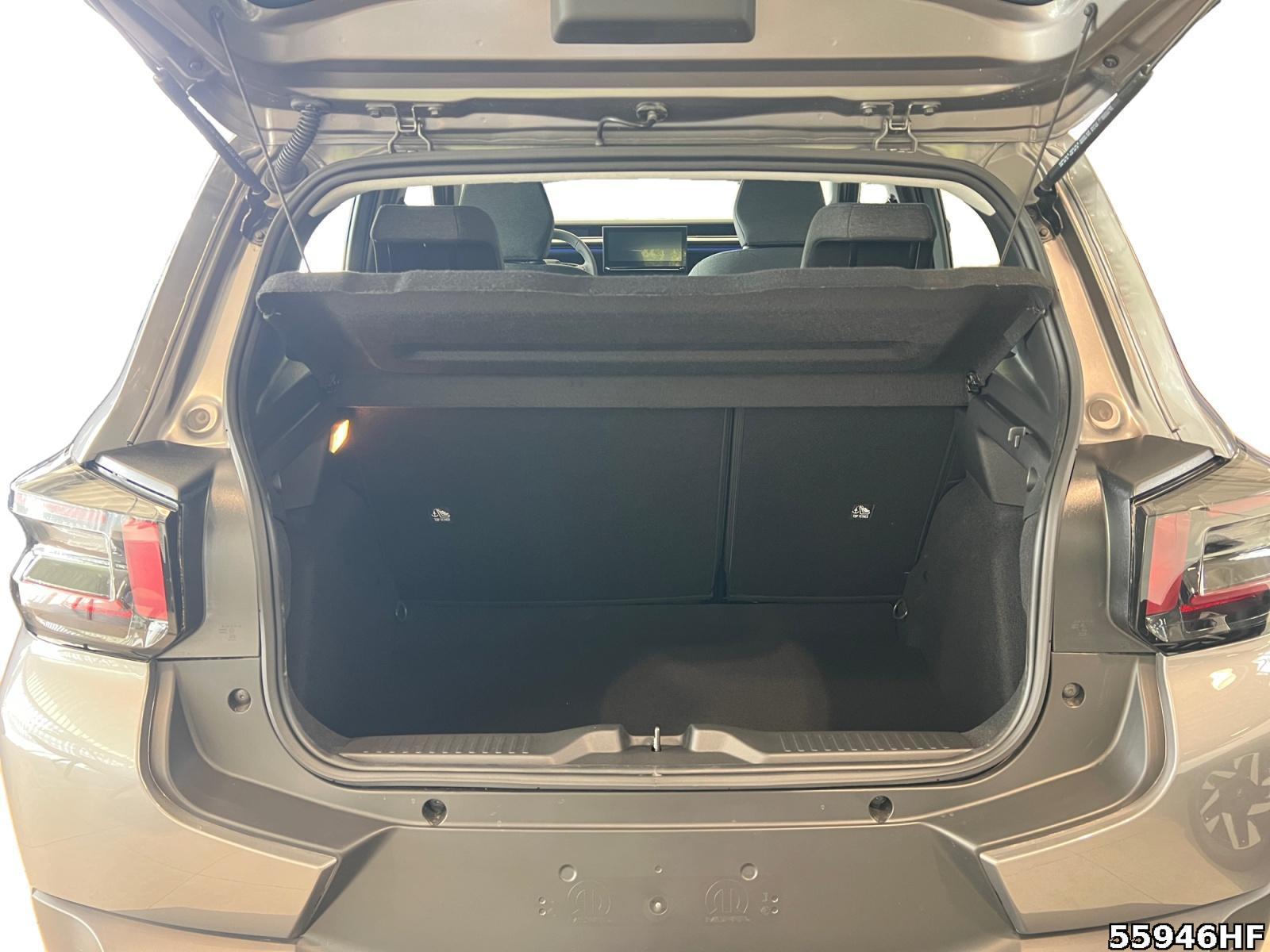 Fahrzeugabbildung Citroën C3 Plus 100 PS MT